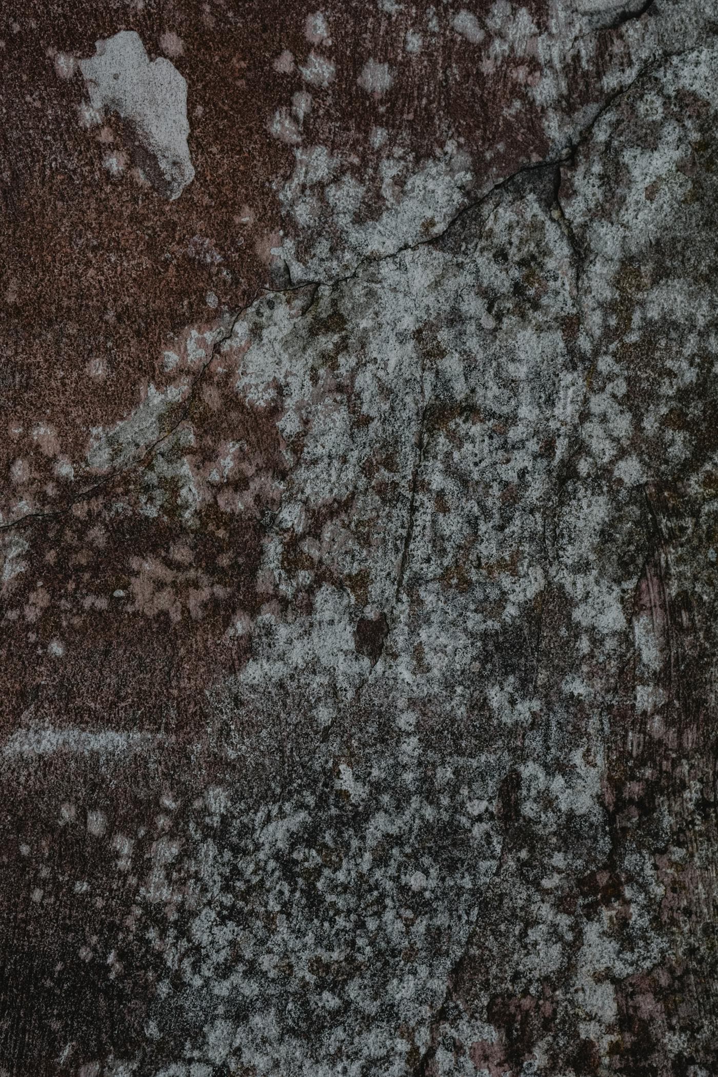 Wall surface showing visible mold and moisture staining